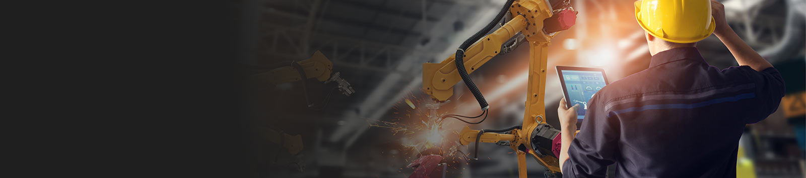 Soluciones inteligentes para el etiquetado automático